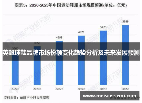英超球鞋品牌市场份额变化趋势分析及未来发展预测