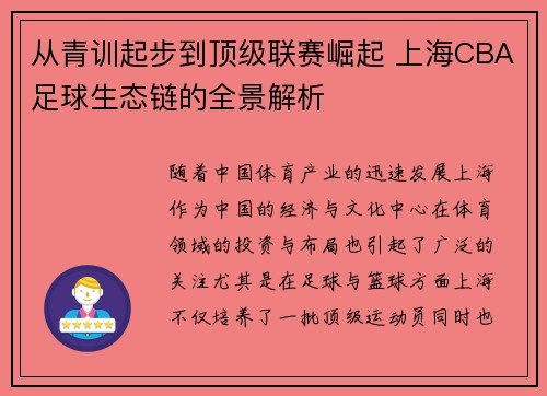 从青训起步到顶级联赛崛起 上海CBA足球生态链的全景解析