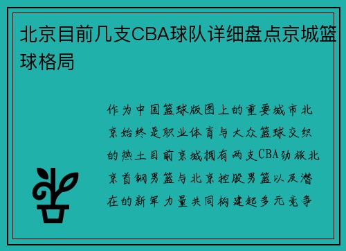 北京目前几支CBA球队详细盘点京城篮球格局