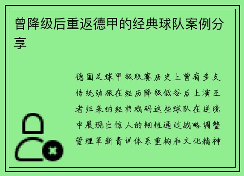 曾降级后重返德甲的经典球队案例分享