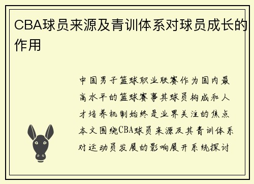 CBA球员来源及青训体系对球员成长的作用