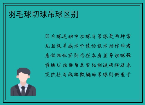 羽毛球切球吊球区别