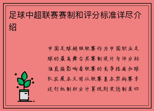 足球中超联赛赛制和评分标准详尽介绍