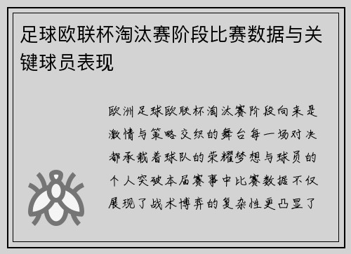 足球欧联杯淘汰赛阶段比赛数据与关键球员表现